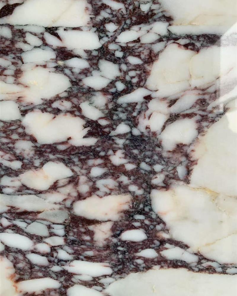 Natural Turkish Calacatta Viola marble texture with purple veining
